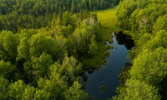New DNR program to help state organizations collaborate on climate change goals